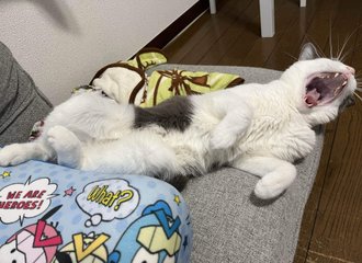 死ぬまで生きよう の新着タグ記事一覧 Note つくる つながる とどける