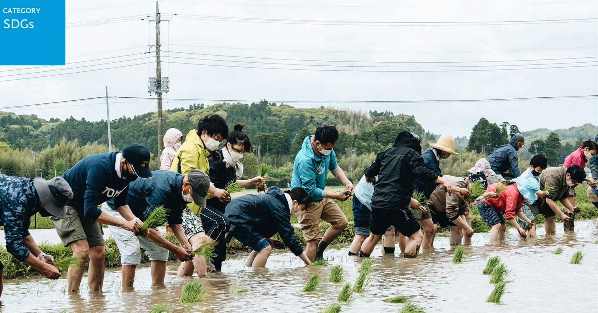 SDGs】いすみ市で田植え体験をしてきました（前編）｜薬糧開発株式会社