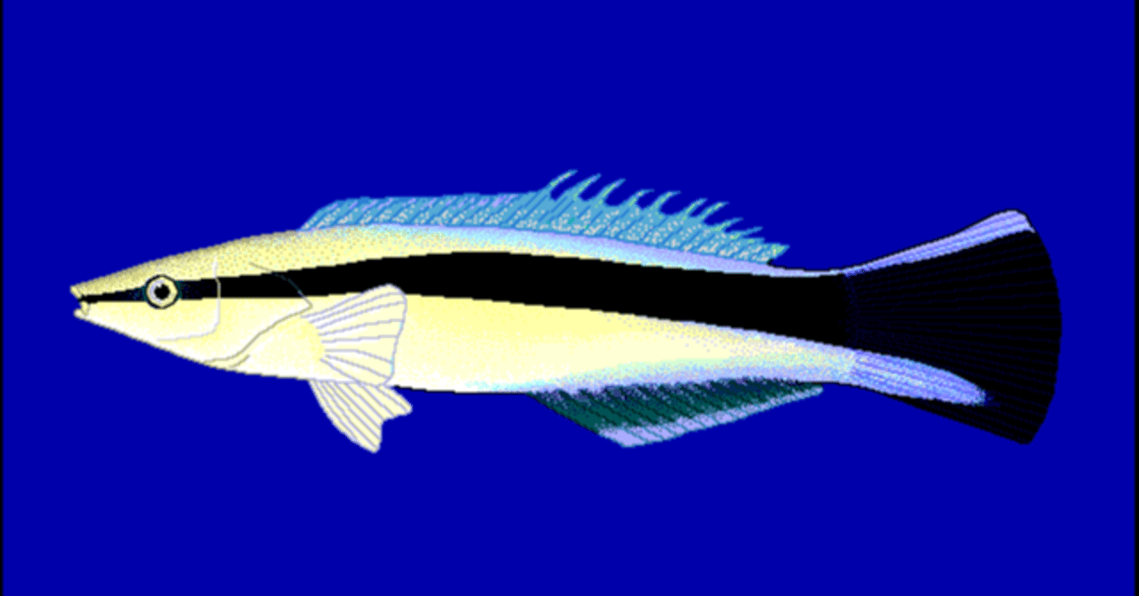 海のお医者さん 世界の海で最も成功している魚 稲垣湧斗 Note 海のお医者さん 世界の海で最も成功している魚 稲垣湧斗 Note