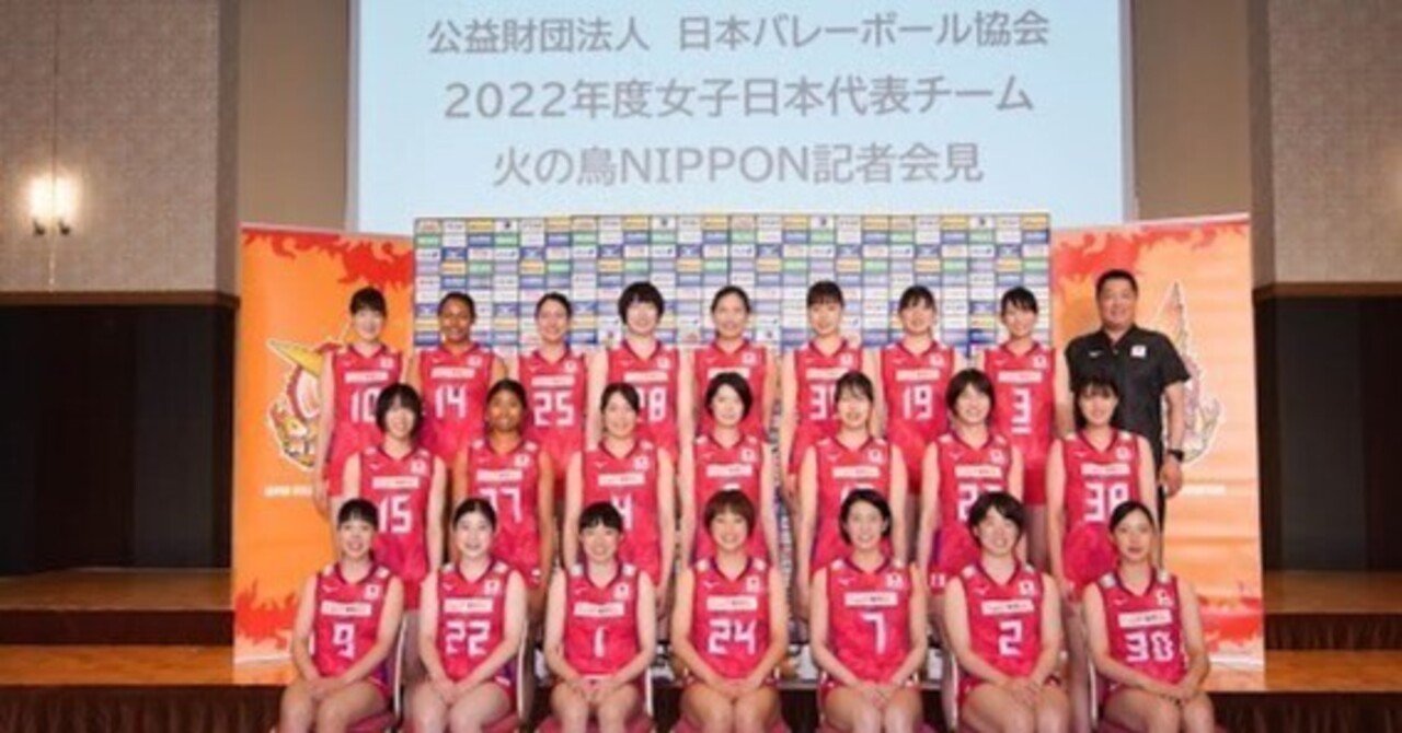 全日本女子バレー 江畑選手 レプリカユニフォーム （江畑幸子