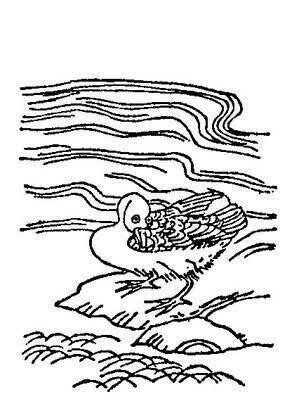 第2049回 伊勢物語とミヤコドリ｜翆野 大地