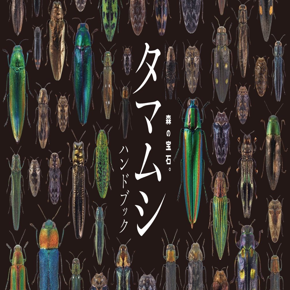 タマムシハンドブック タマハン ができるまで ブンイチ 文一総合出版 Note