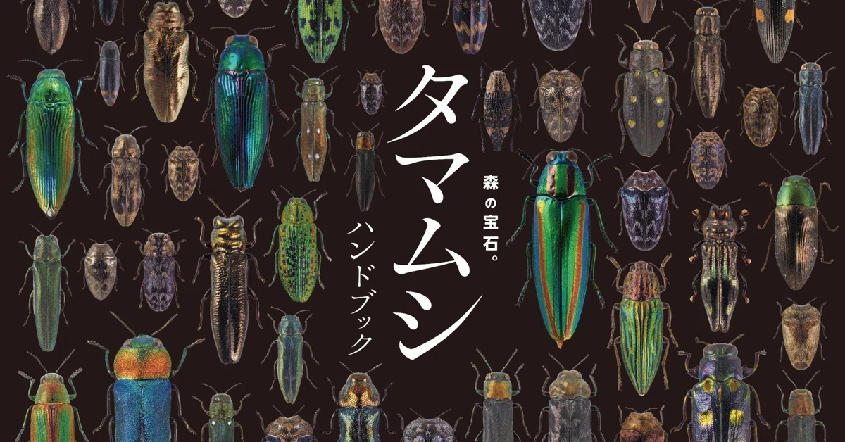 タマムシハンドブック（タマハン）ができるまで｜ブンイチ（文一総合出版）