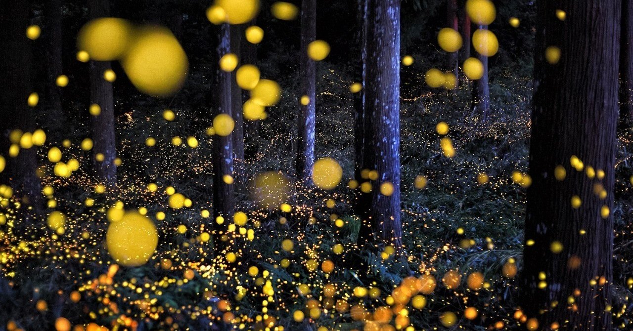 良い写真とは 湯淺光則 星景写真家 Note