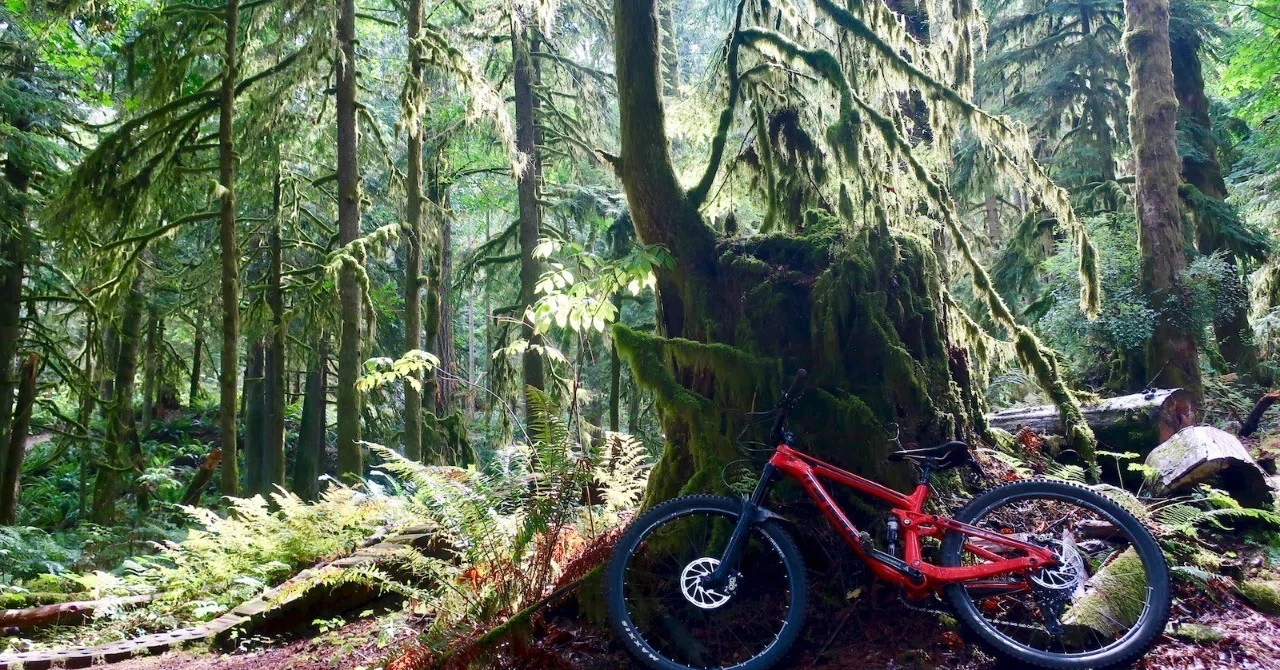 カナダ・アメリカ MTB旅行記 Vol.2｜MTBクロニクル