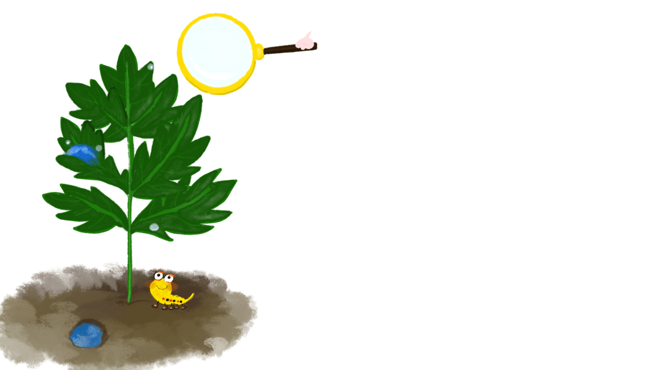 絵本ご依頼編 よもぎさんとイモムシさん Instagramでは動くよ フォローしてね イラスト 絵本 作品 眠れない夜に 私のコーヒー時間 Brownie Note