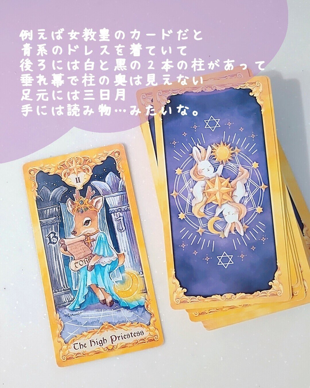 ANIMAL TAROT CARD 小動物タロットカード・占い・趣味・カード・ - 本