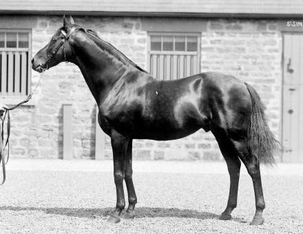 70年代 イギリスの競走馬 雑誌「The British Racehorse」 英国編】第1章-2・英国のチャンピオン競走馬105頭のリスト｜BKC