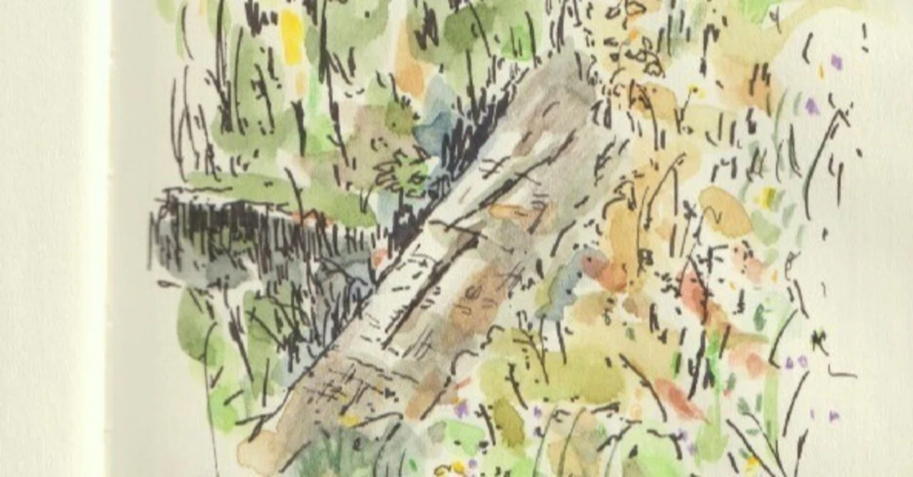 絵を描く手帳「畦道」と「公園の道」を描いた｜水彩スケッチ帖