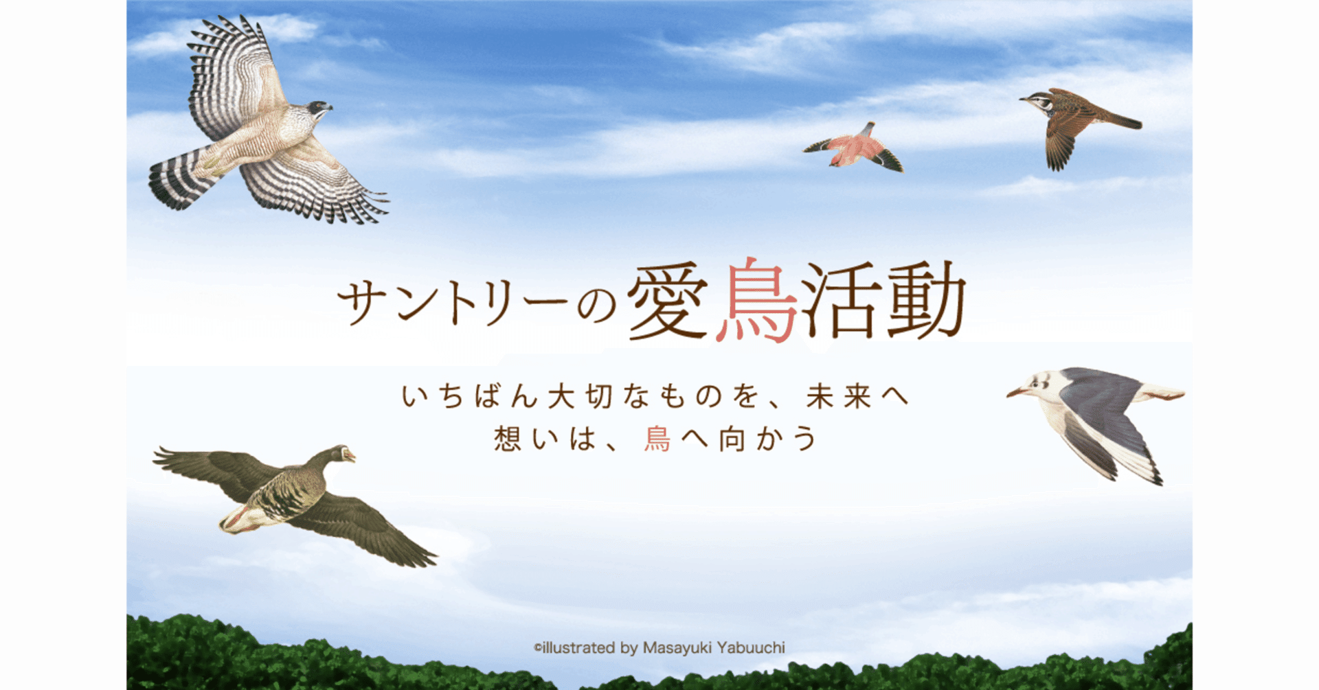 サントリー 愛鳥キャンペーン新聞広告縮刷版 第1集〜第3集 骨董品