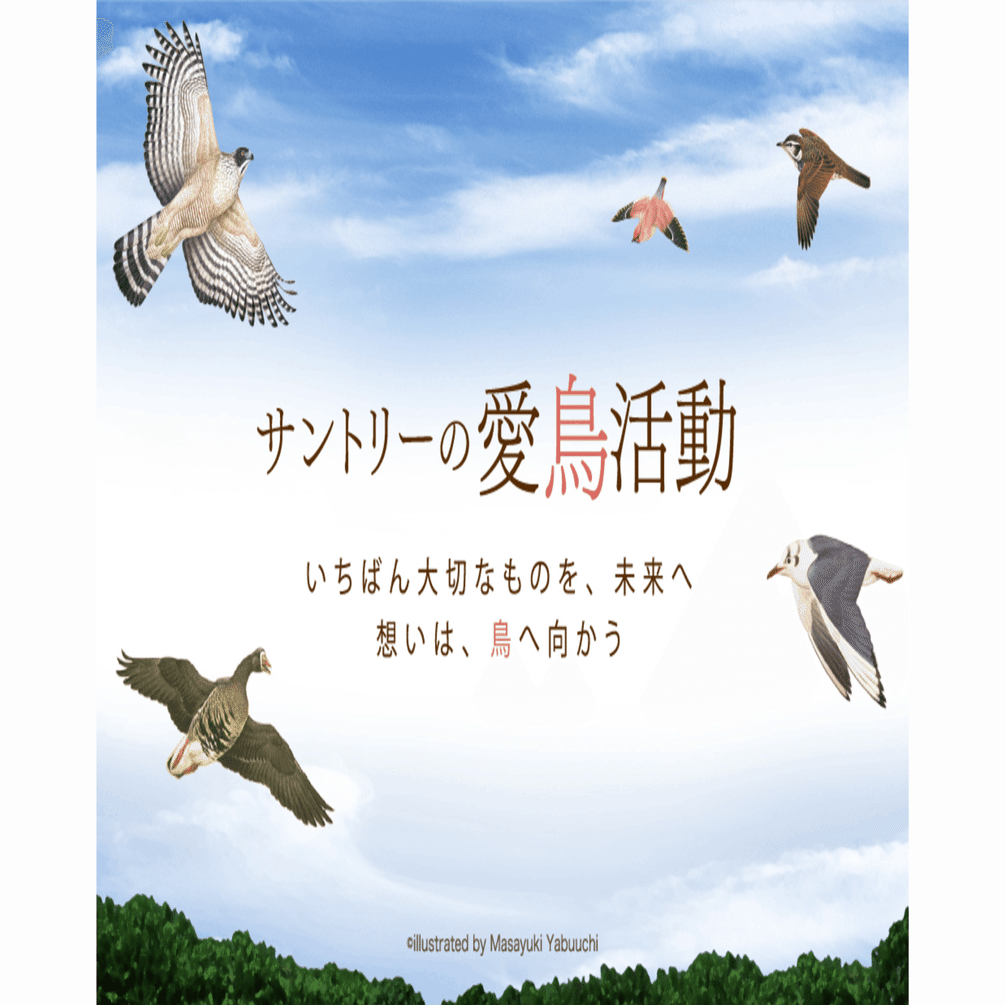 サントリーがなぜ愛鳥活動を？！｜SUNTORY（サントリー）