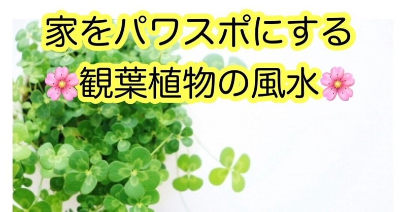 【開運】洗面所におすすめ観葉植物をご紹介(^^)