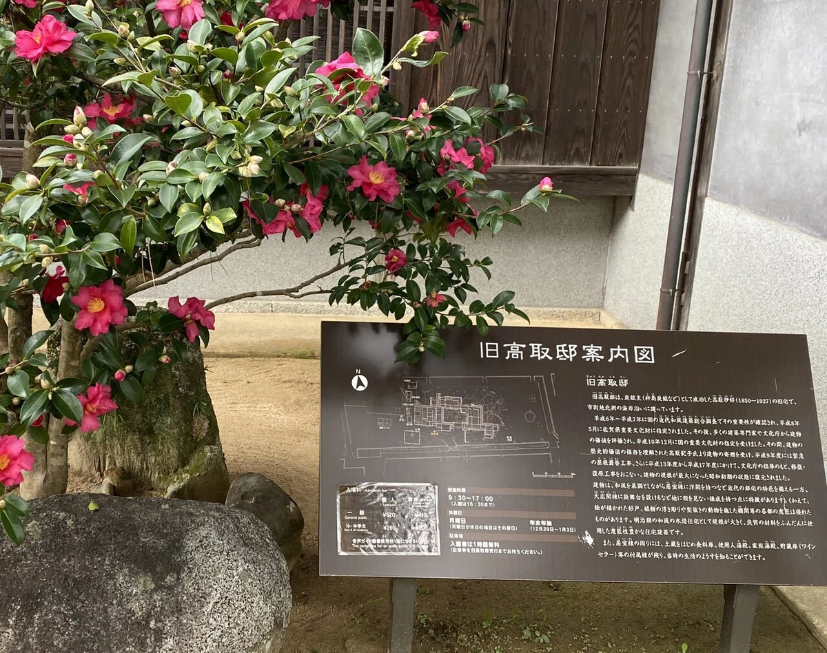 画像5