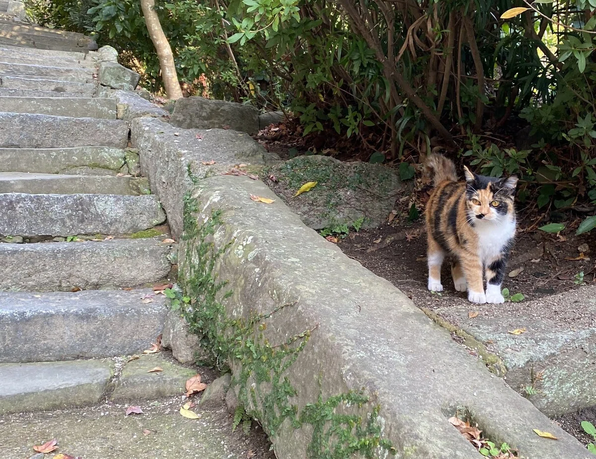 画像10