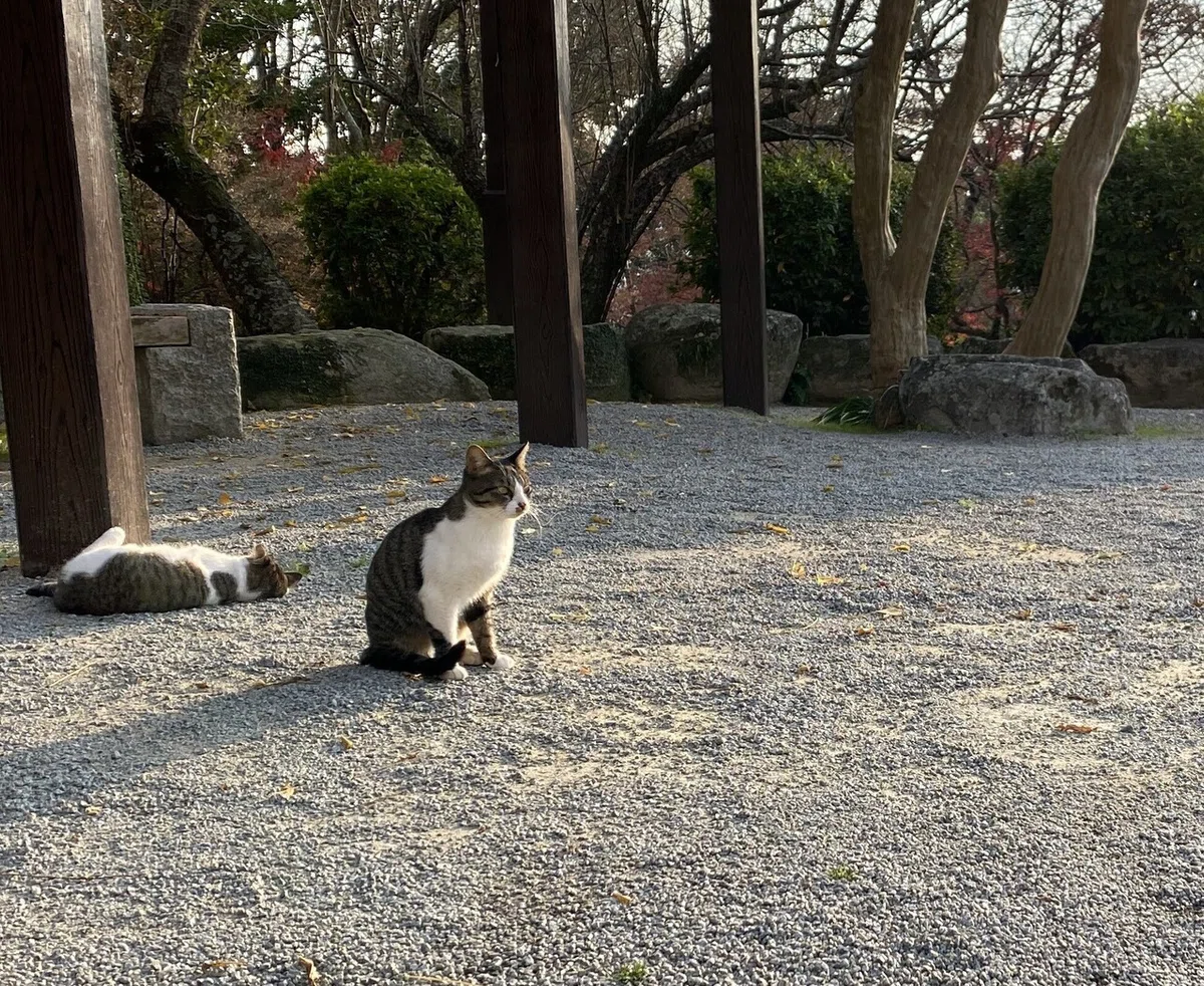 画像11