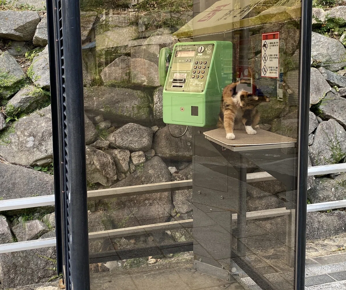 画像13