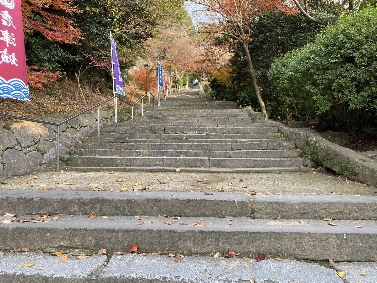 画像16