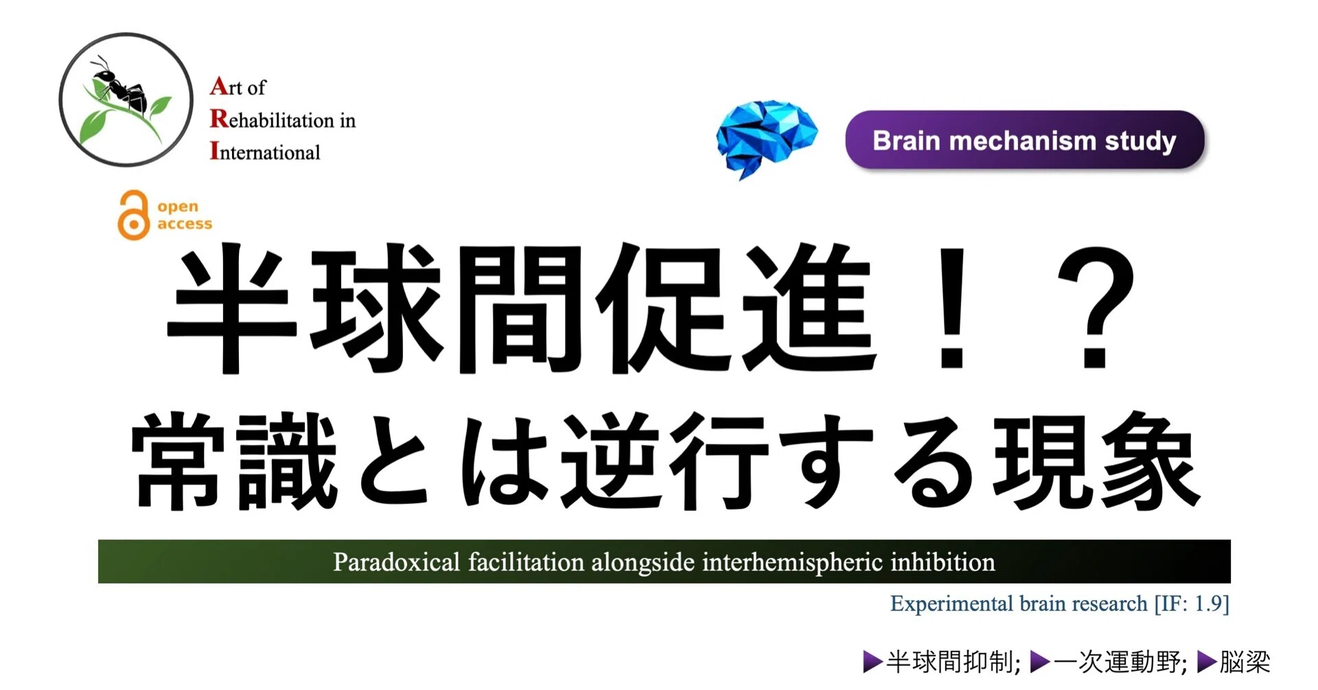 半球間促進！？常識とは逆行する現象｜Super Human | 理学療法士／保健