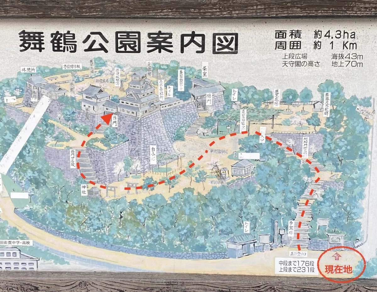 画像19