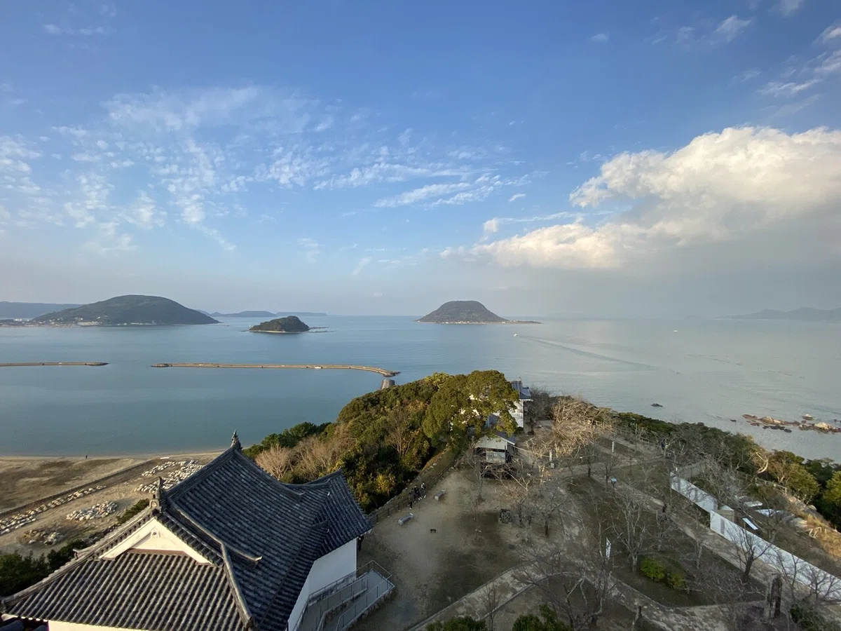 画像20