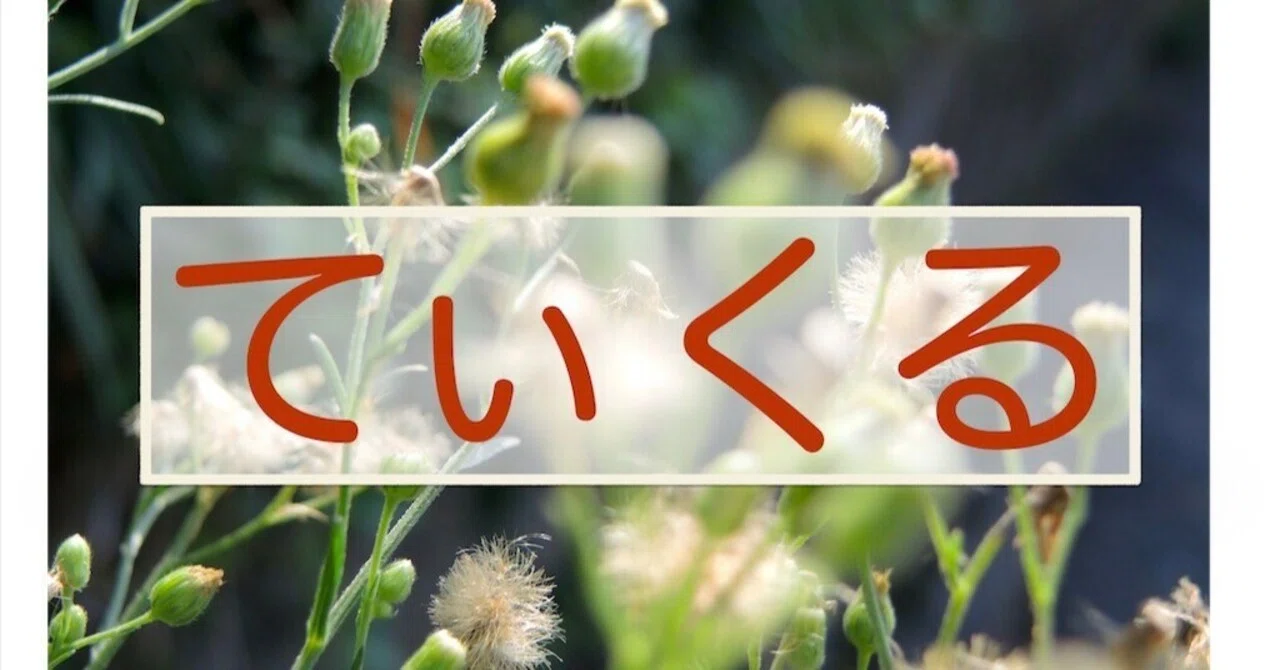見出し画像