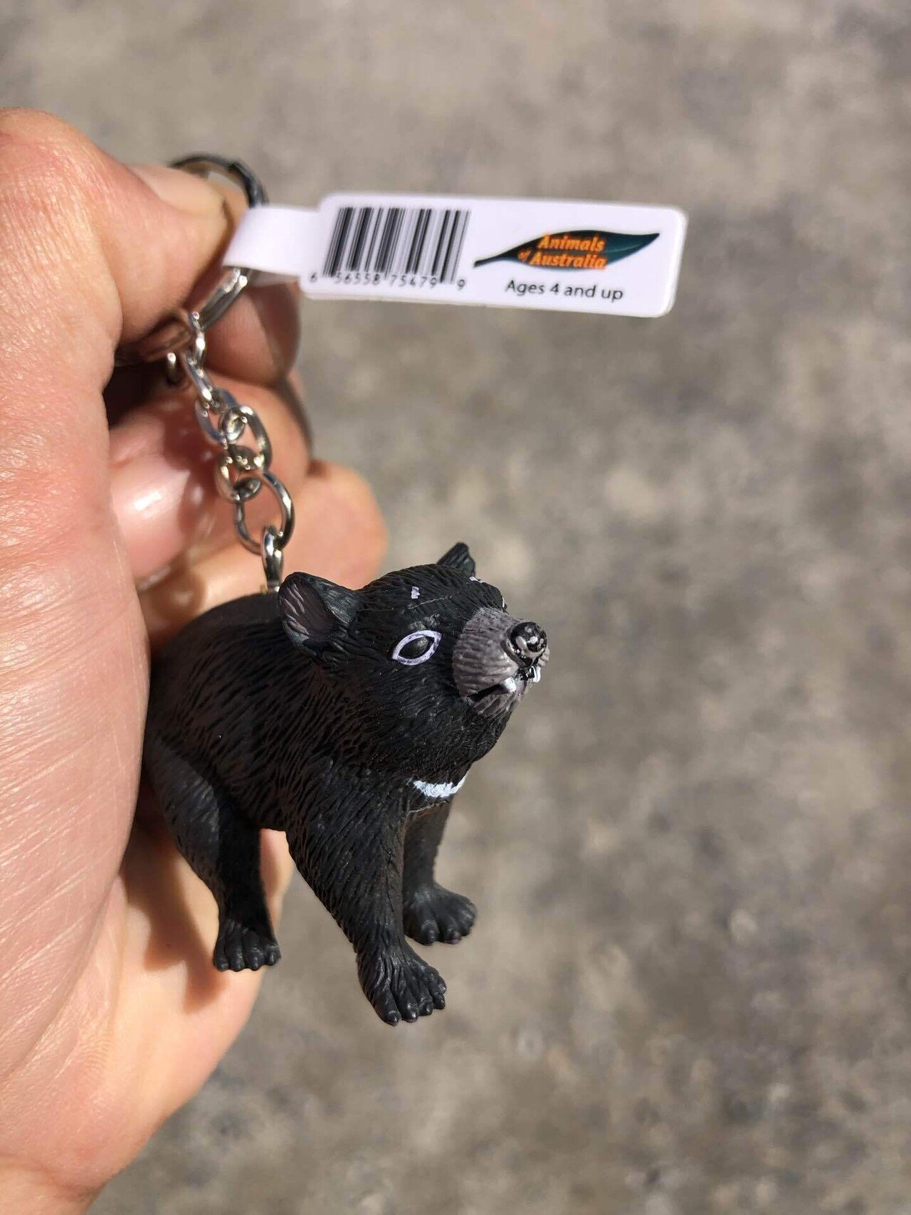 Tasmanian Devil タスマニアンデビルさん 旅記録26日目 みゃりも 旅と酒の人 Note Tasmanian Devil タスマニアンデビルさん 旅記録26日目 みゃりも 旅と酒の人 Note