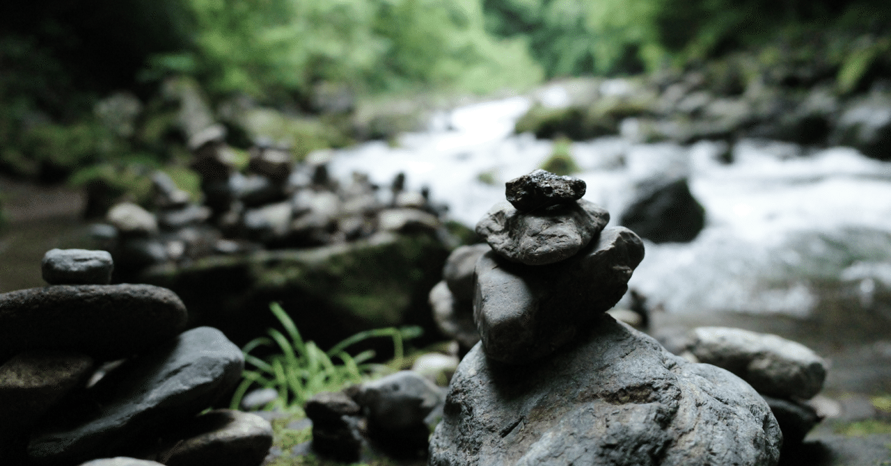 ガチ盆栽】オガタマの木 バナナ匂い 激古 ガチ盆栽】オガタマの木 ガチ盆栽】オガタマの木 バナナ匂い 激古 ガチ盆栽】オガタマの木