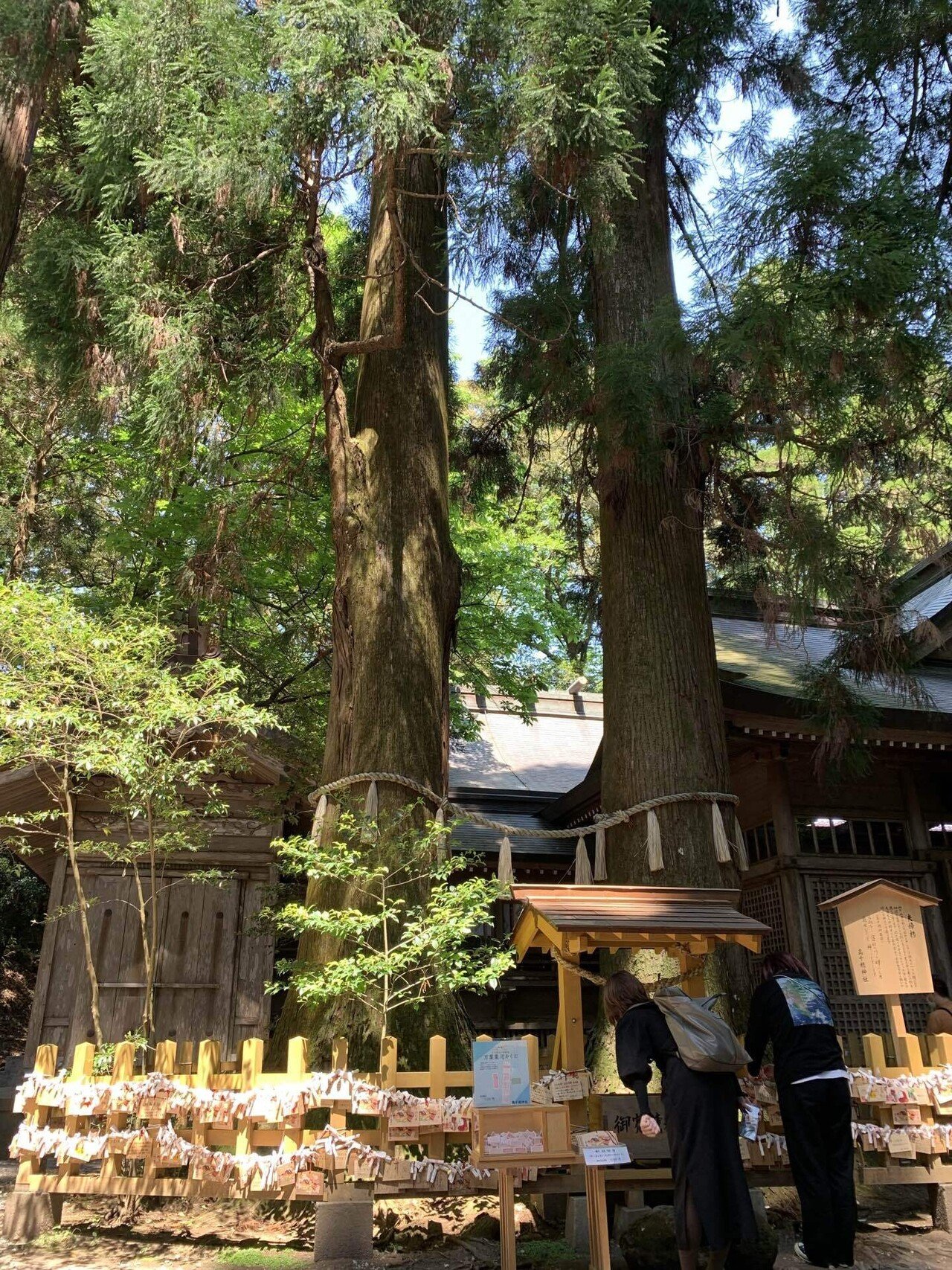 高千穂パワースポットめぐり｜Monica