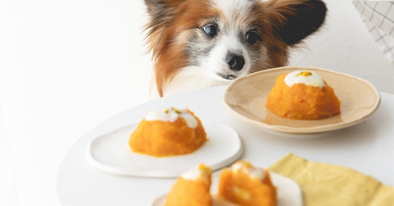 レモン 型 オーブン不要 レモンケーキ風かぼちゃケーキ 手作り犬おやつレシピ 単品購入 いちかわあやこ 犬ごはん先生 Note レモン 型 オーブン不要 レモンケーキ風かぼちゃケーキ 手作り犬おやつレシピ 単品購入 いちかわあやこ 犬ごはん先生 Note