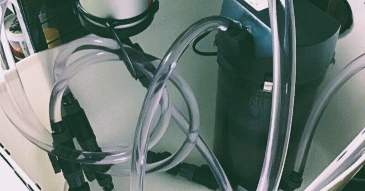 海水水槽の外部フィルターの濾過槽の中身 Uo Note 海水水槽の外部フィルターの濾過槽の中身 Uo Note