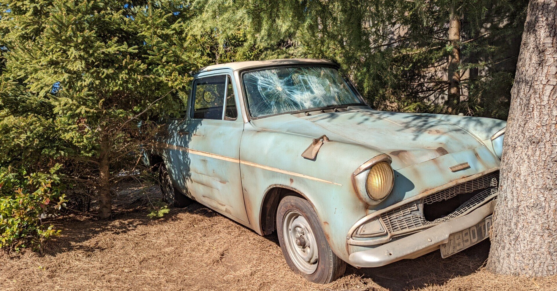 250万円握りしめたとて新車がない 姉のはなむけ日記 岸田 奈美 250万円握りしめたとて新車がない 姉のはなむけ日記 岸田 奈美