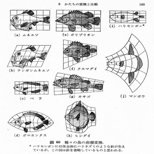 建築家の解体｜Keio SFC Matsukawa Lab