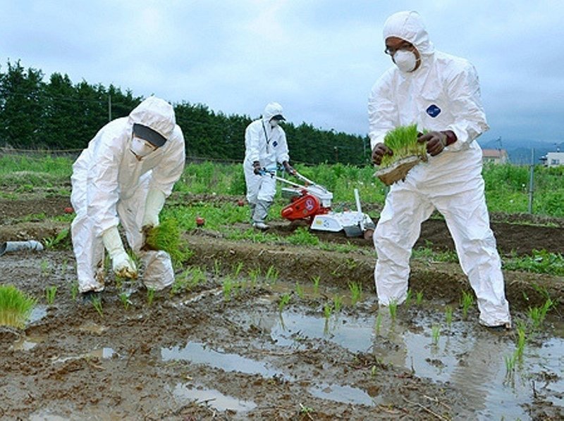 放射能検査してない関東野菜や奇形魚 巨大魚などが 何故 大量に九州ばかりへと流れるの マスター 九州男児 Note