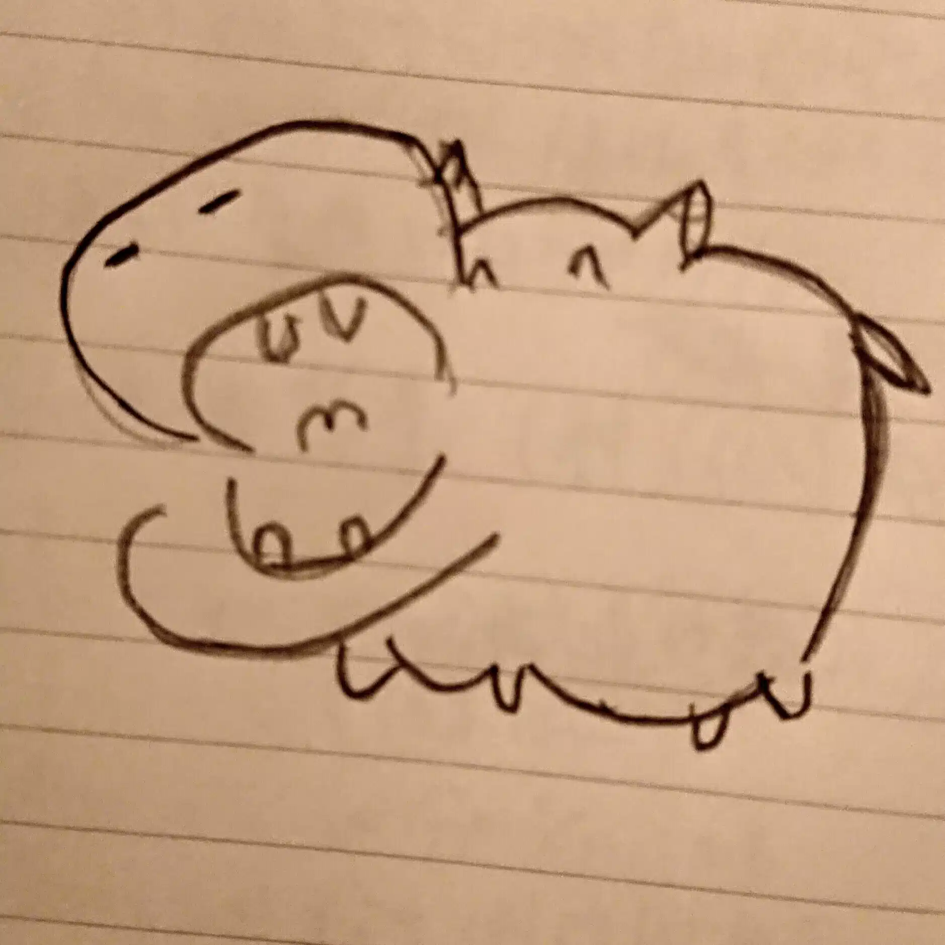 かば