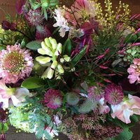 純度の高い恋は地に落ちて いっそう輝く 千花物語 Note