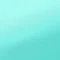 一条早苗