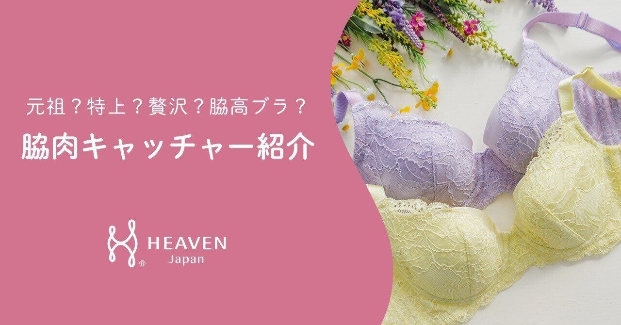 元祖・特上・贅沢…脇肉をスッキリさせるブラ『脇肉キャッチャー