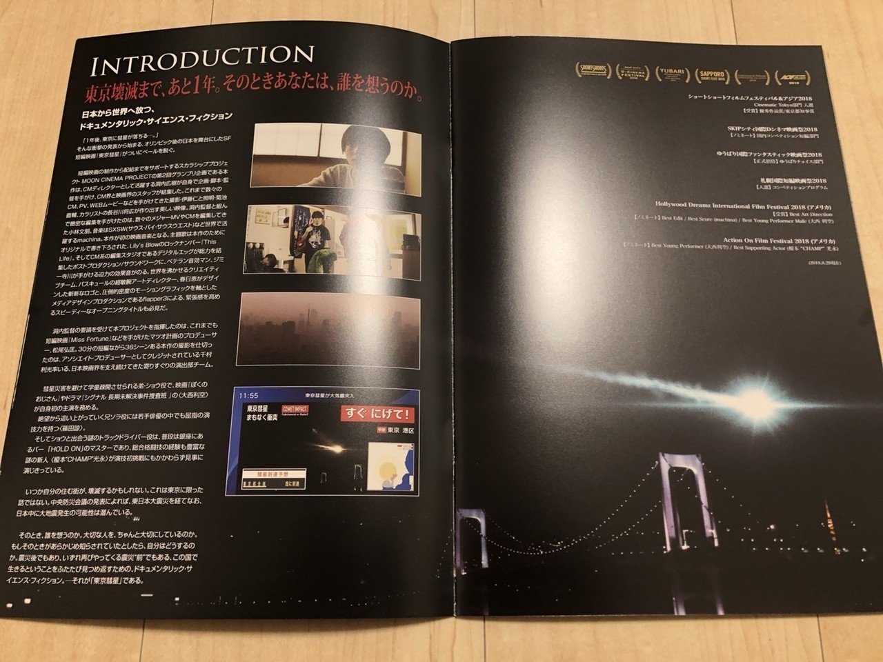 P16_【コラム】映画の「オフライン(紙)パンフレット」とは 丨 『東京