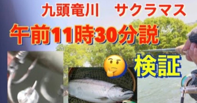 九頭竜川サクラマス「午前11時30分…説」