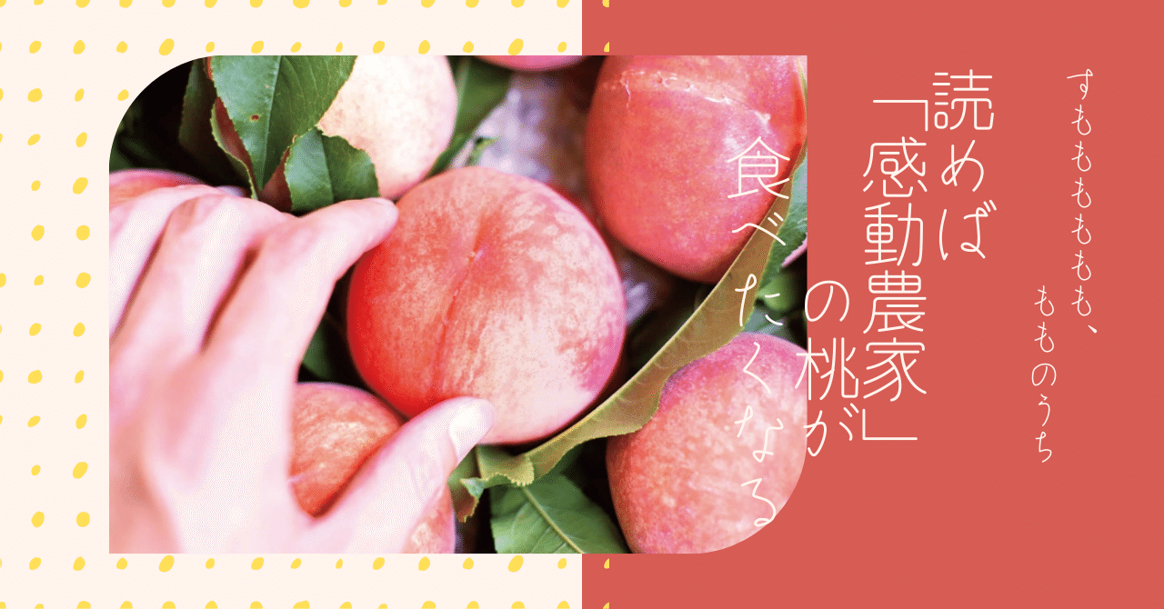 中古】 果樹 vol.12 特集 モモ スモモ安定発芽、貯蔵・鮮度保持