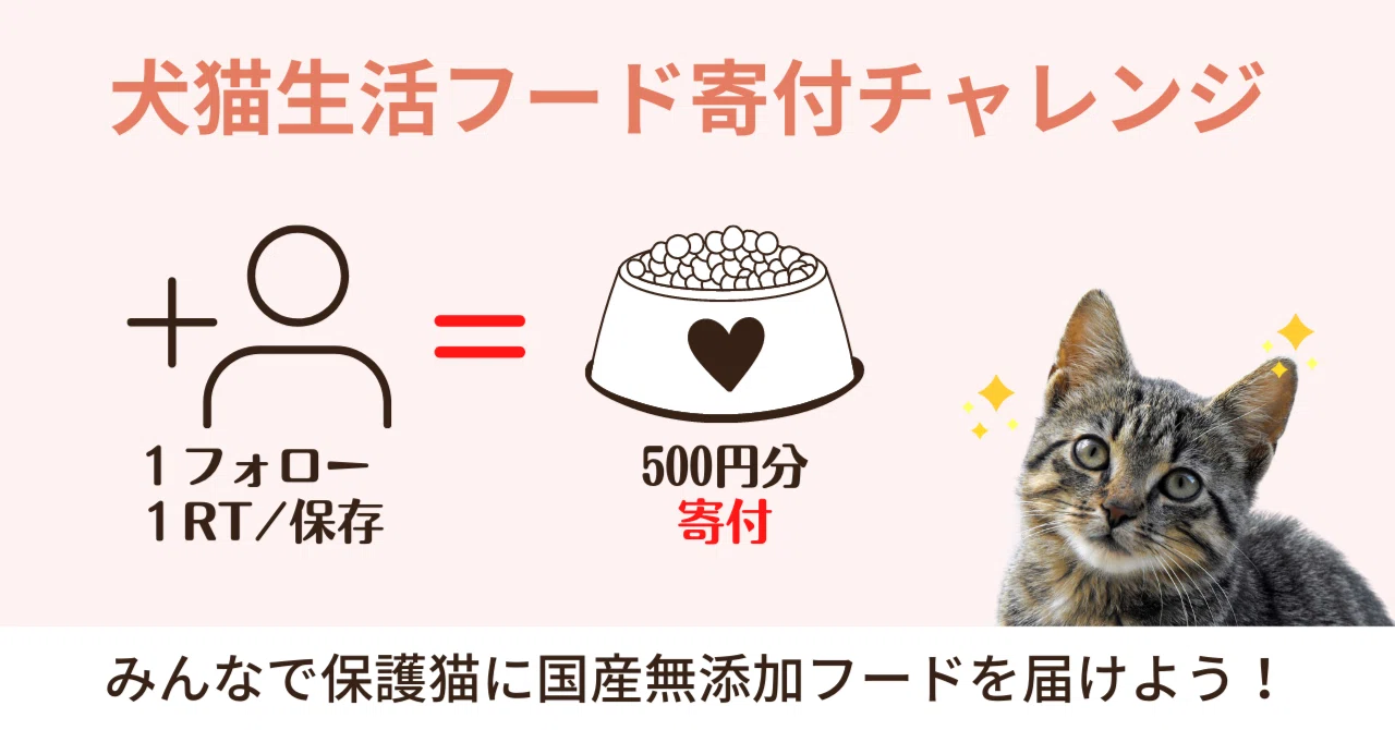 1アクションで500円分のフードが保護猫ちゃんに届きます！犬猫生活