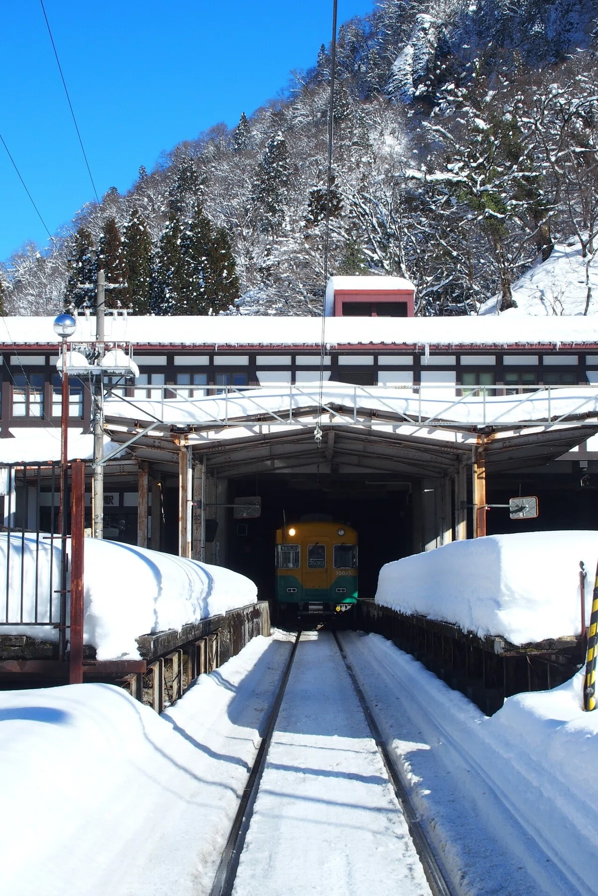 画像8
