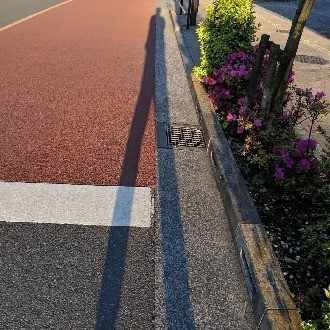 人気のダウンロード Shake Hip 新宝島 人気のある画像を投稿する