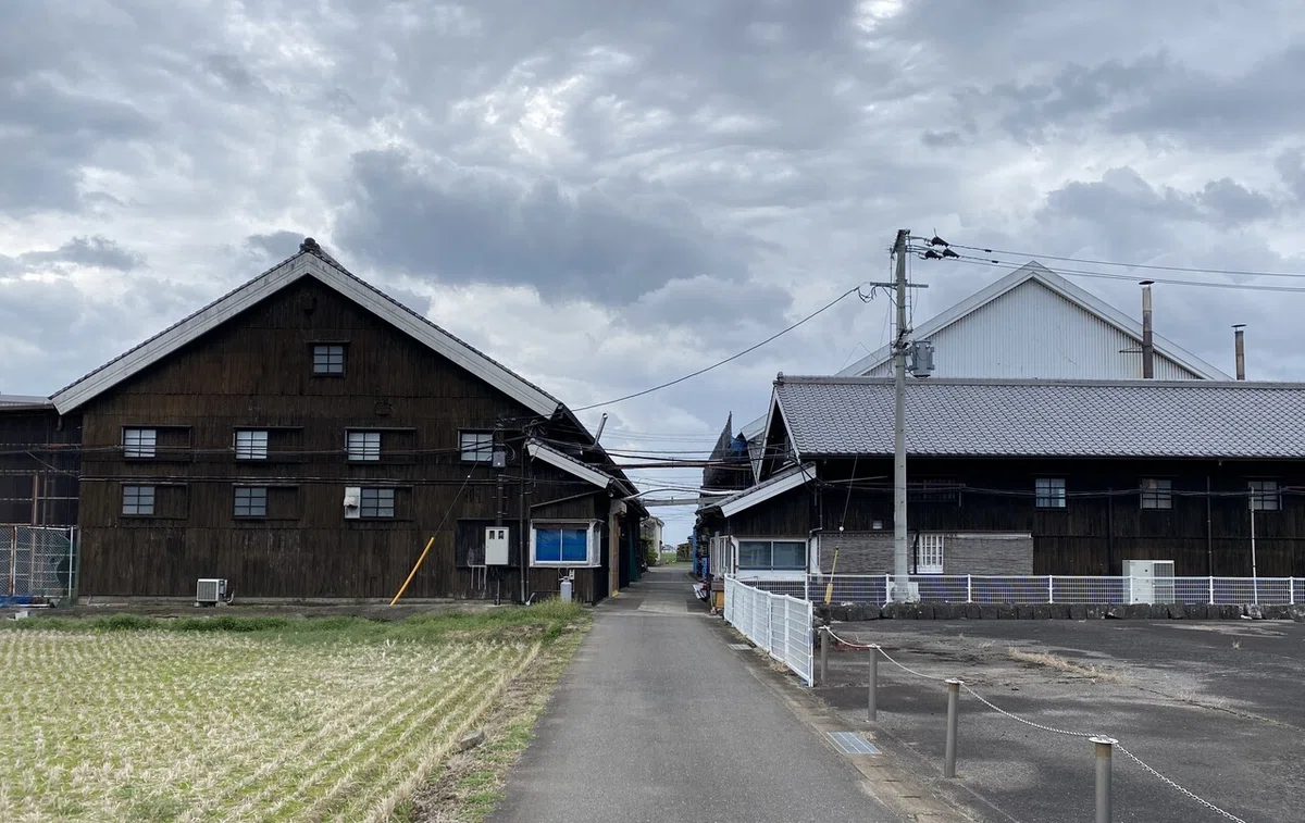 画像5