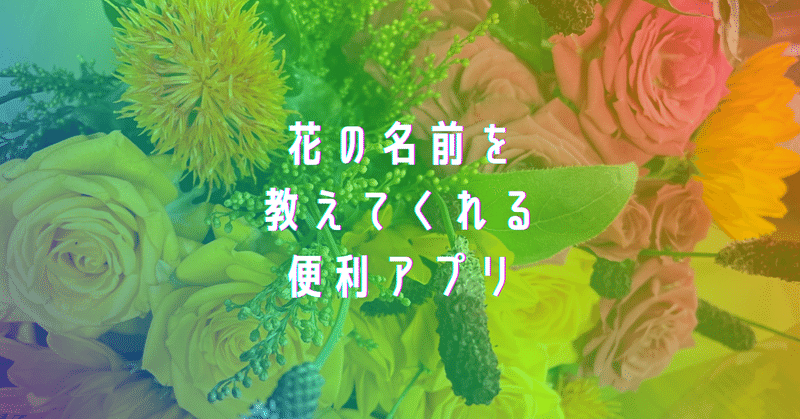 花の名前を教えてくれる便利アプリ Kaoru 毎日投稿中 Note