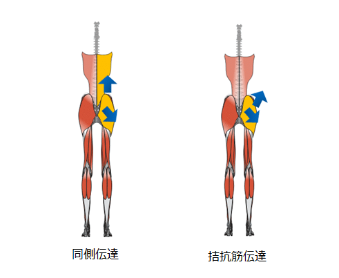 伝達障害