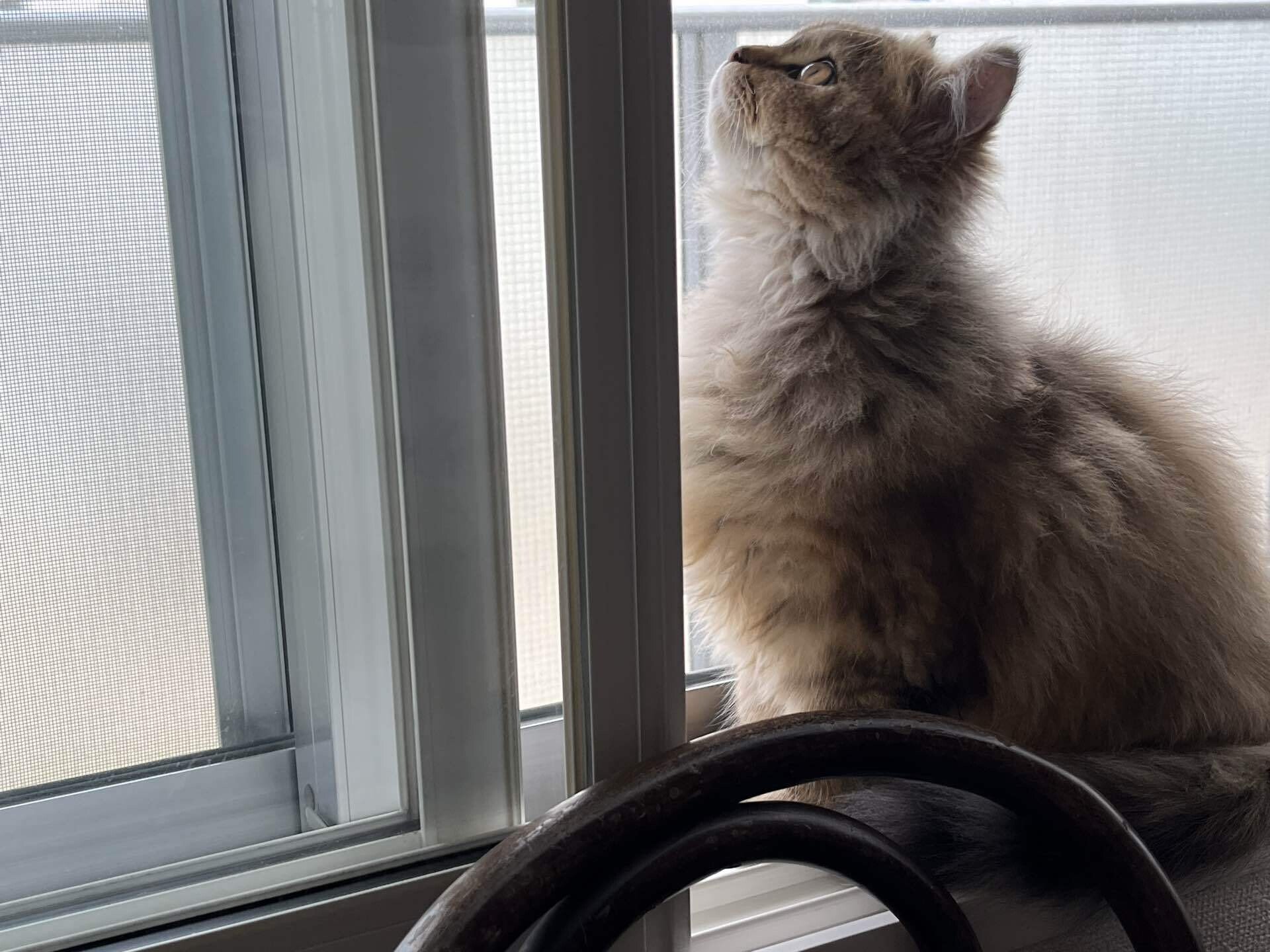 心が軽くなることば の新着タグ記事一覧 Note つくる つながる とどける