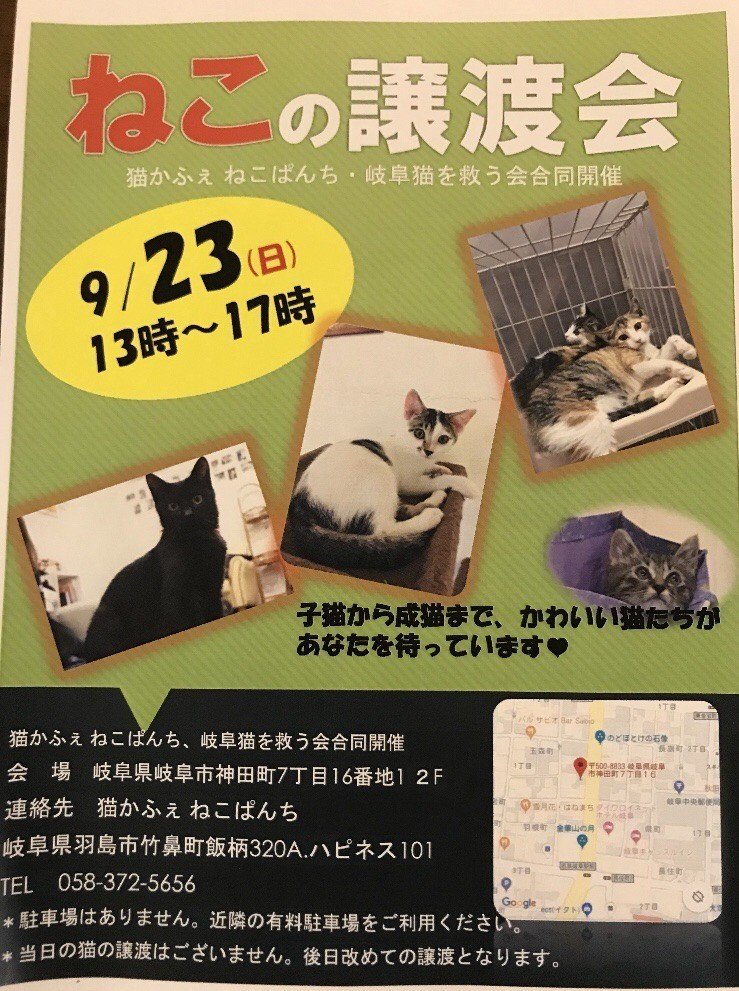 拡散希望 9月23日に岐阜県岐阜市にて譲渡会が開催 古川ゆか Note 拡散希望 9月23日に岐阜県岐阜市にて譲渡会が開催 古川ゆか Note