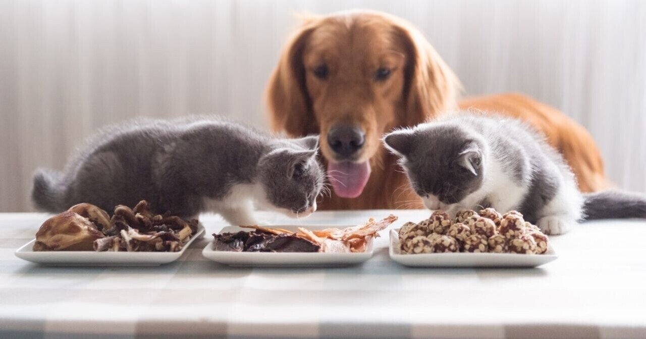  「Apollo」Reddit アプリ、今日の購入収益の全額を動物保護施設に寄付