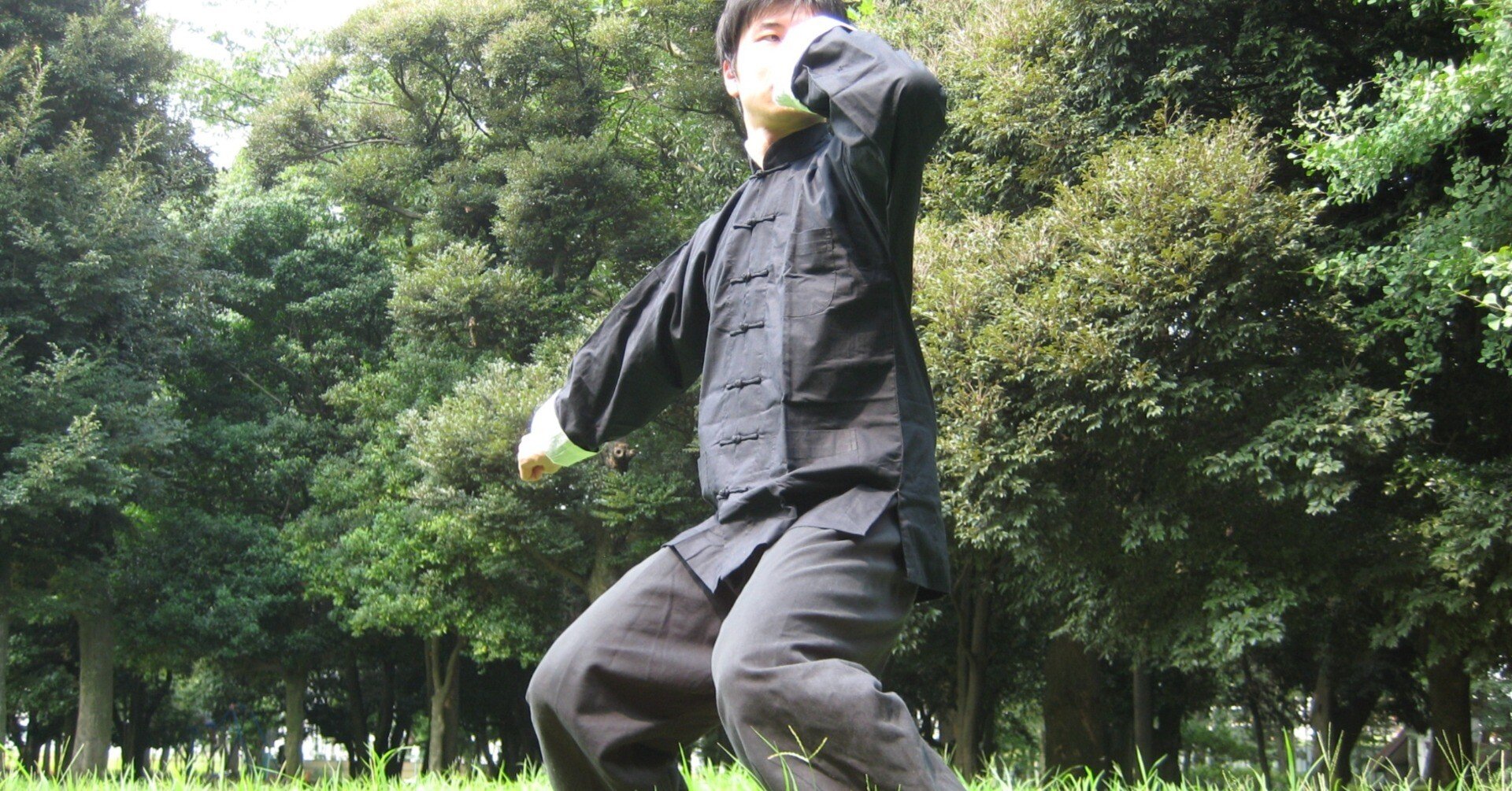 八極拳の「虎」と「熊」の勢法!!八極拳の「虎膀」(虎砲)と「熊歩 八極拳の「虎」と「熊」の勢法!!八極拳の「虎膀」(虎砲)と「熊歩